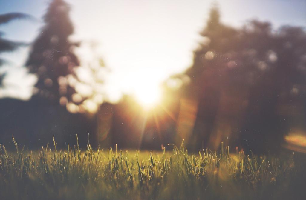 sunglare